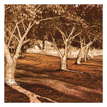 Framed Line of trees Print