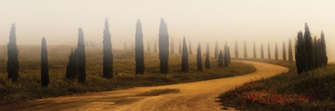 Framed Tuscan Fog 4 Print