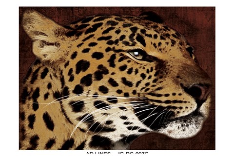 Framed Leopard 1 Print