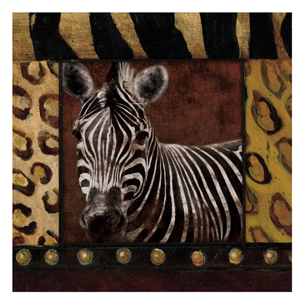 Framed Zebra With Border Print