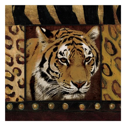 Framed Tiger Bordered Print