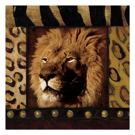 Framed Lion with Wild Border Print