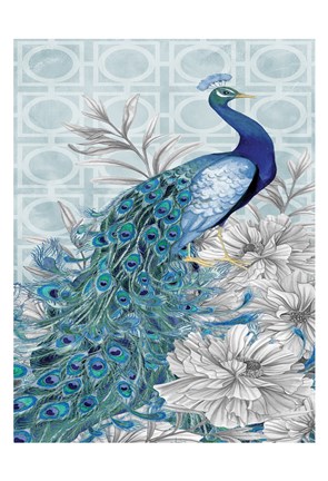 Framed Monochrome Peacocks Blue 2 Print