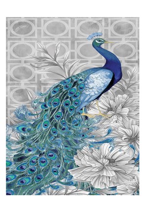 Framed Monochrome Peacocks Grey 2 Print