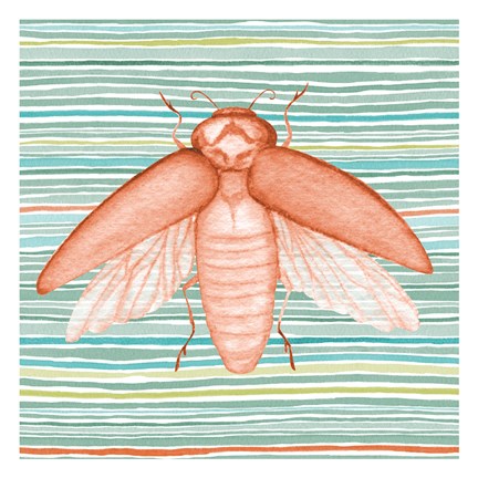Framed Summer Stripe Beetle 2 Print
