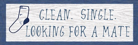 Framed Clean and Single Print