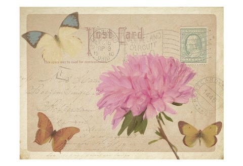 Framed Vintage Butterfly Postcard III Print