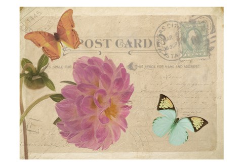Framed Vintage Butterfly Postcard IV Print