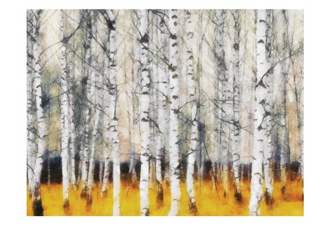 Framed Saffron Timber Print