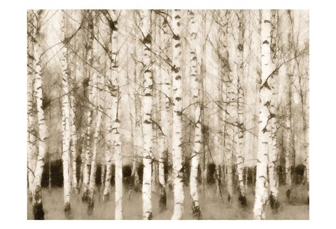 Framed Sepia Timber Print