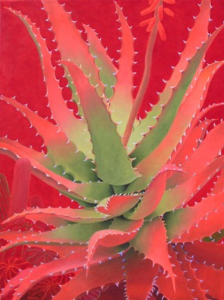 Framed Red Agave Print