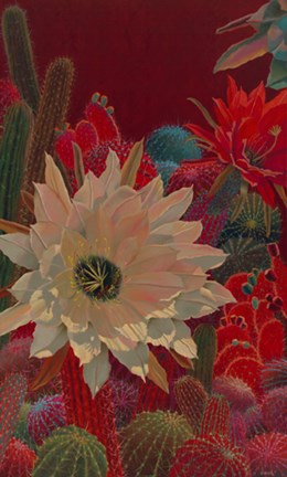 Framed Stella&#39;s Garden Print