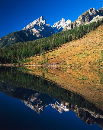 Framed Cathedral group reflecting in String Lake, Grand Teton National Park, Wyoming Print