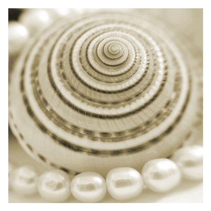 Framed Shells and Pearls 1 Print