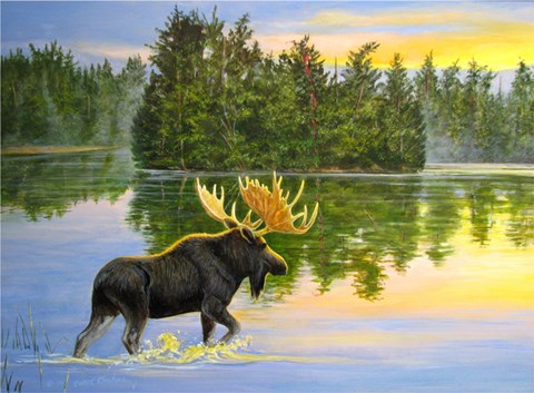 Framed Wilderness Lake Moose Print