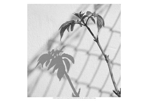 Framed Around Town III Print