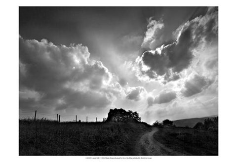 Framed Lonely Path I Print