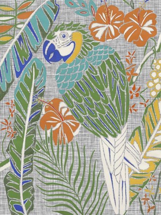 Framed Tropical Macaw Print