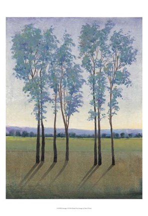 Framed Acreage I Print