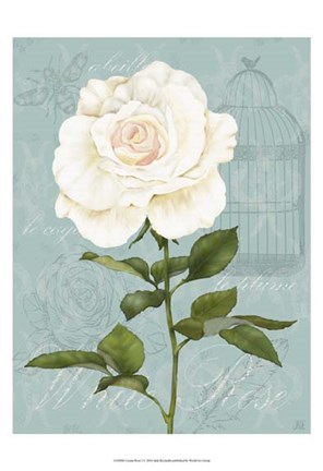 Framed Cream Rose I Print