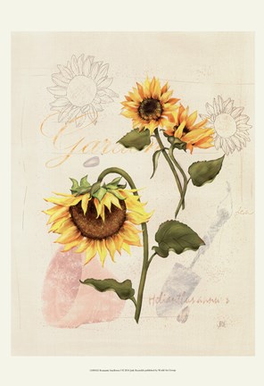 Framed Romantic Sunflower I Print