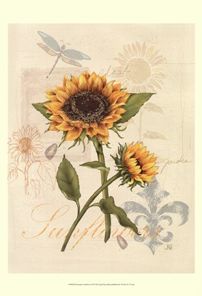 Framed Romantic Sunflower II Print