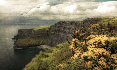 Framed Ireland in Color I Print