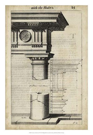 Framed Ancient Architecture IV Print