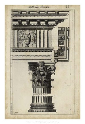 Framed Ancient Architecture VII Print