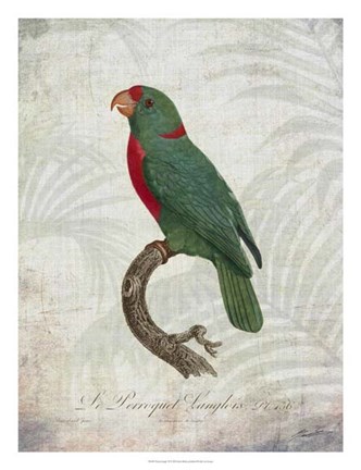 Framed Parrot Jungle VI Print