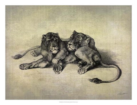 Framed Big Cats III Print