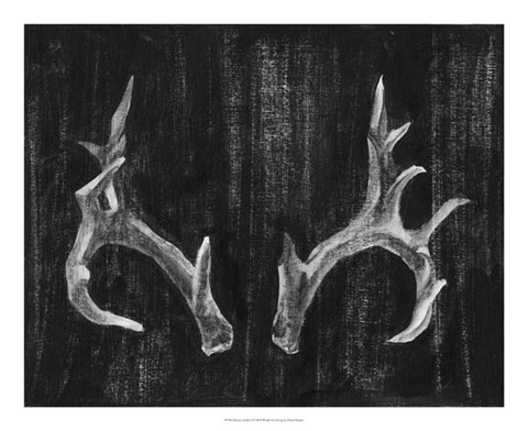 Framed Rustic Antlers I Print
