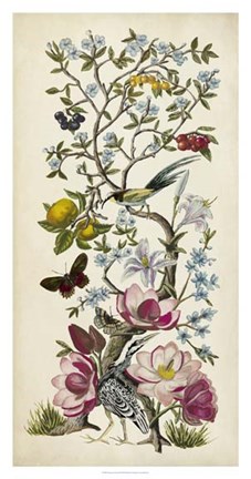 Framed Chinoiserie Natura II Print