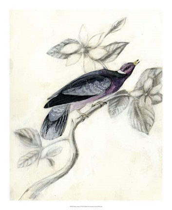 Framed Rustic Aviary I Print