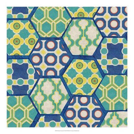 Framed Painted Tortoise II Print