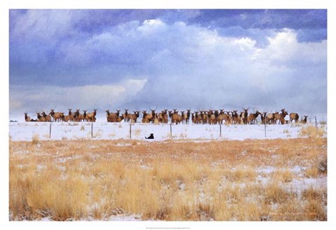 Framed Zippy &amp; the Elk Print