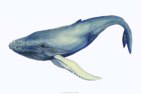 Framed Whale&#39;s Song I Print