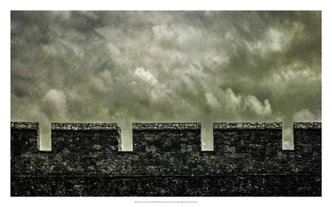 Framed Irish Castle Views I Print