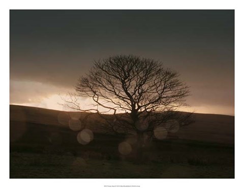 Framed Stormy Sunset II Print