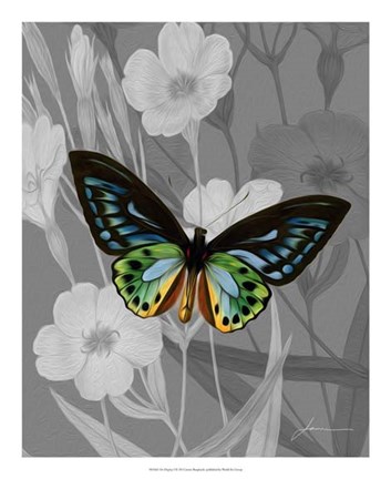 Framed On Display I Print