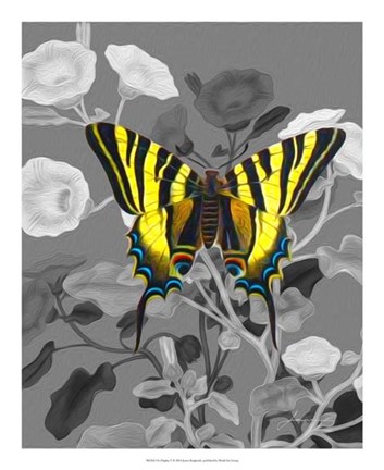 Framed On Display V Print