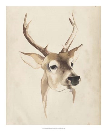Framed Watercolor Animal Study IV Print
