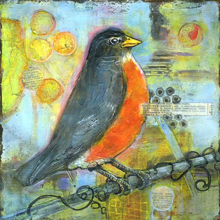 Framed Robin Print