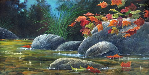 Framed Along Oak Creek Print