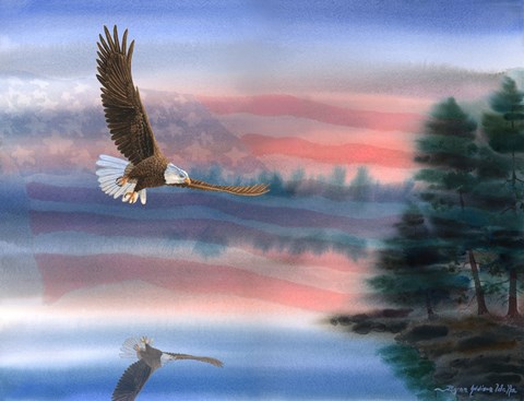 Framed Heartland Eagle Print