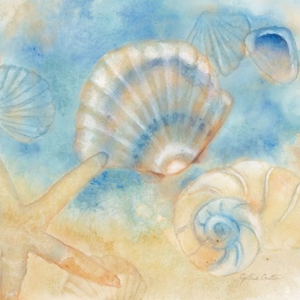 Framed Watercolor Shells II Print