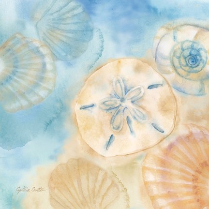 Framed Watercolor Shells III Print