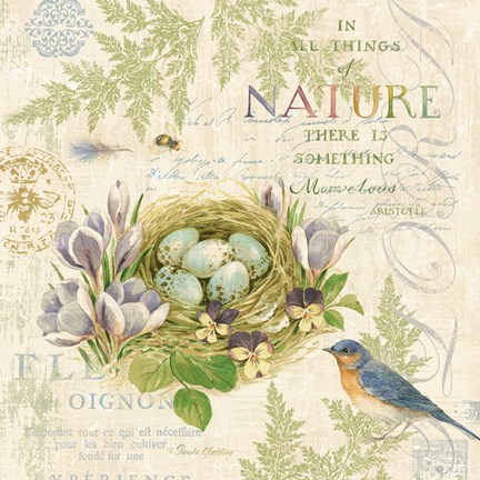 Framed Nature Trail I Print