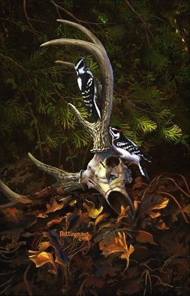 Framed Circle of Life Print