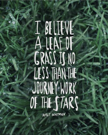 Framed Leaf Of Grass Print